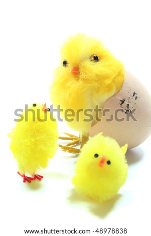 Easter - Chick in Egg with young chicks in front of white background