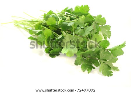 a bunch of fresh Coriander on a white background