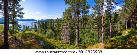 Wide panorama with a view from the hill to the blue waters of the fjord, green taiga forest, high mast pines, moss-covered hillsides. The blue sky is reflected in the lake. Scandinavia. Norway.