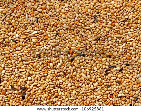 Seed mixture background. Pet food for birds. (finches)