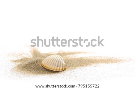 Sea Shells