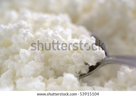 Close-up image of cottage cheese clods
