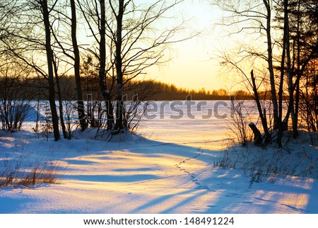 Winter sunset in forest in cold evening