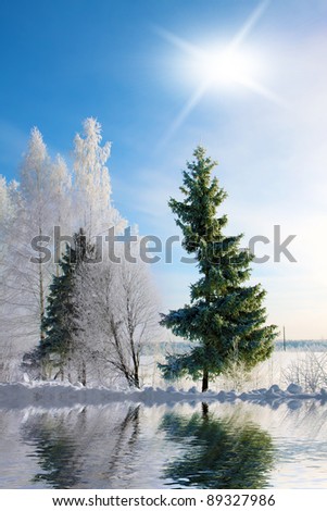 Winter landscape . Forest in a hoarfrost, sun and reflection
