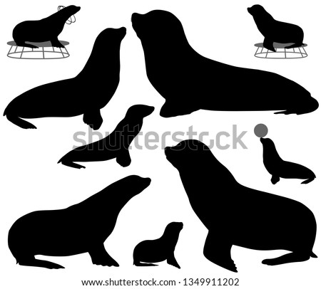 Collection of silhouettes of california sea lions