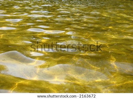 Gold solar patches of light on water. Summer.