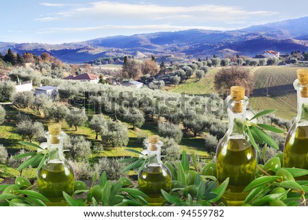 Olive oil bottles and olives, amid magnificent rural landscape
