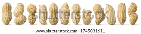 Peanuts diversity. 12 raw shelled peanuts of different shapes standing vertically isolated on white background