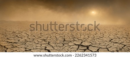 Similar – Image, Stock Photo Climate change | bare patches in the Harz Mountains