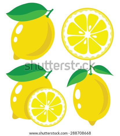 Vector lemon. Fresh lemon fruits, collection of vector illustrations