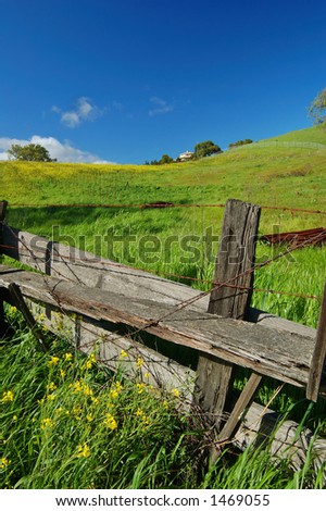 the countryside of northern California in springtime