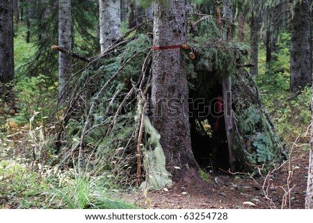 Primitive survival shelter in a forest