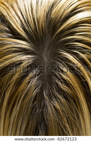 Blonde Hair with Visible Dark Roots