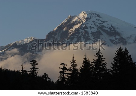 Longmire View of Mount Rainier - Mount Rainier National Park