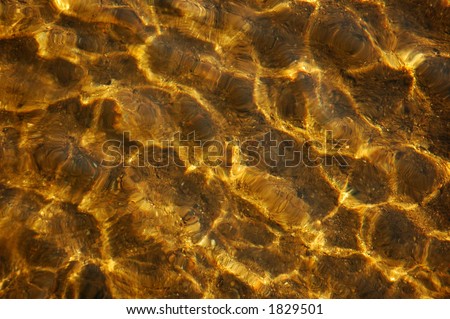 golden waves.  surface of river. sun day.