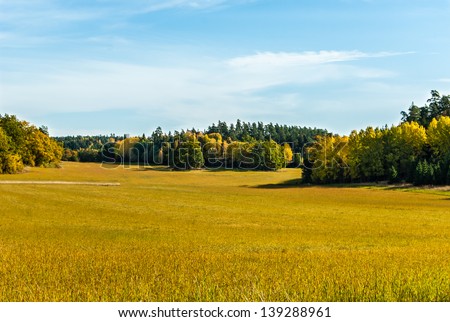 Corn field in fall in a swedish rural landscape.