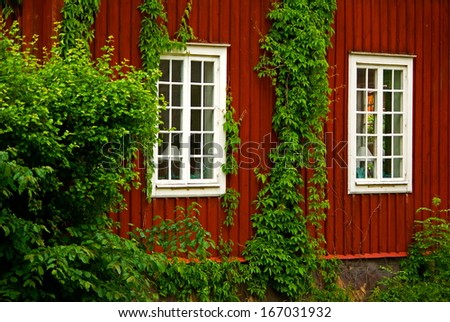 Swedish red wooden house with climbing plants and window with white frames.