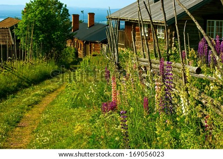 Swedish landscape with narrow road between log houses and wooden fence in summer.