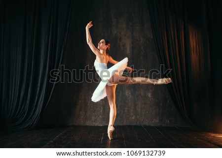 Similar – Image, Stock Photo Young slim ballerina jumping above ground in studio flexing legs.