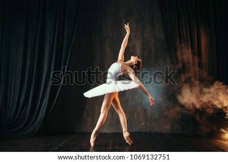 Similar – Image, Stock Photo Ballerina in tutu balancing on tiptoes in studio