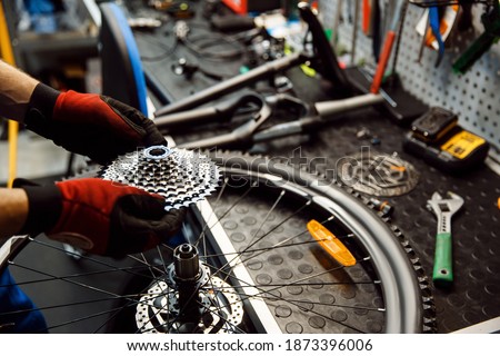 Bicycle repair in workshop, man installs cassette