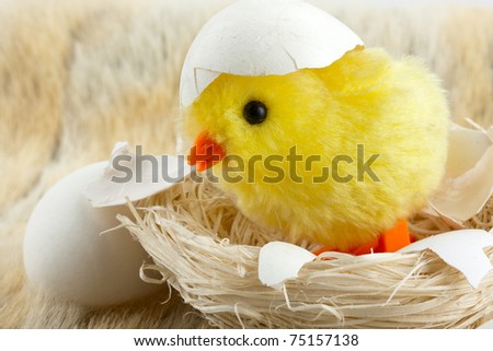 Toy Baby Chicken With Eggshell In Nest Stock Photo 75157138 : Shutterstock