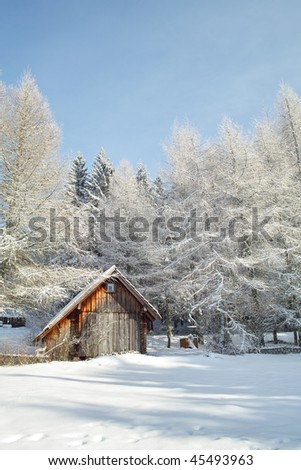 small wood cabin in winter forest