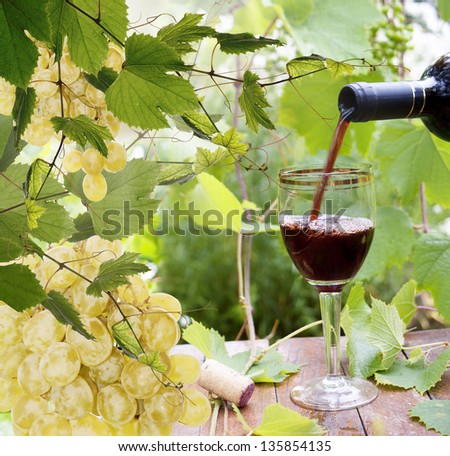 Bottle young wine and ripe grape.Wine background