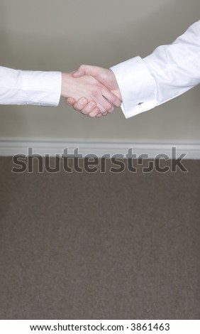 Businessman and a businesswoman give a handshake in the office to show their agreement