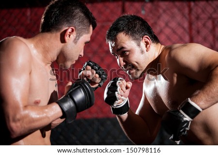 Portrait of a couple of mixed martial arts fighters during a fight