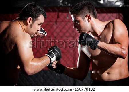 Young men wearing gloves and ready to begin a mixed martial arts fight in a fighting cage