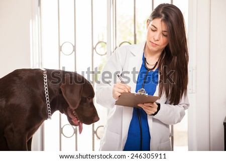 Beautiful young brunette in a lab coat taking some notes and reviewing a dog\'s health in a clinic
