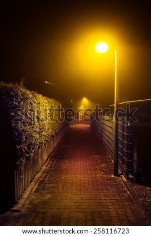 Night walk in a foggy city park alley illuminated by street lights (diffused, toned). Dreamy cityscape.