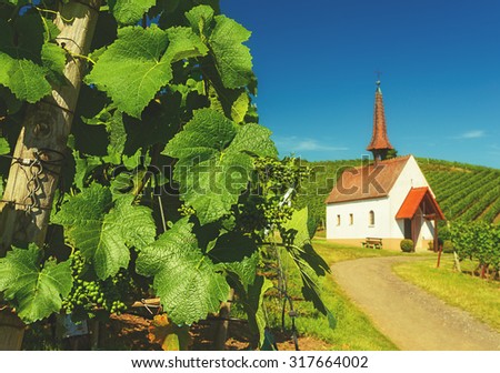 Picturesque vineyard landscape with vines growing on hills and a small old chapel. Germany, Black Forest, Kaiserstuhl. Wine-making background.