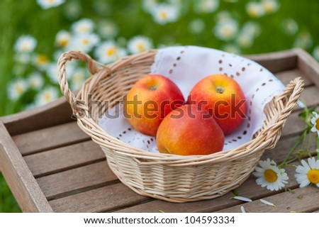 A basket with apples on a garden table. In the background a green meadow with daisies.