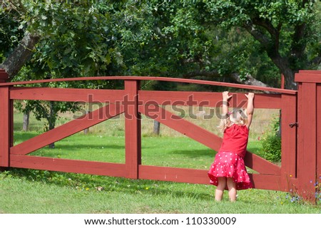 Cute little girl in a red summer frock playing on a gate stretching up to reach the top bar as she explores a rural property