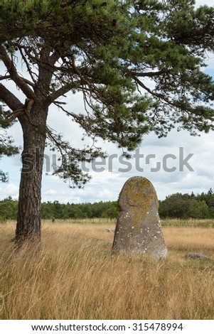 The famous picture stone of the Galrum burial site. The stone was raised in the early viking age.