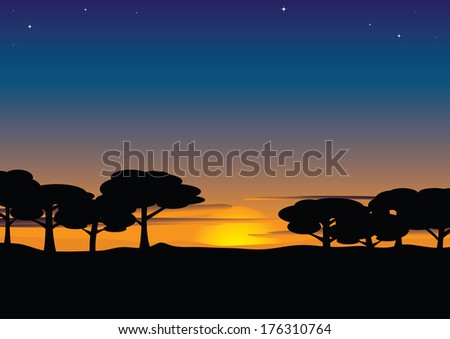 Landscape with trees at sunset
