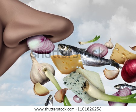 Stinky smell and smelly food concept as strong smell ingredients as garlic onions fish and cheese with a nose breathing in the  pungent aroma in a 3D illustration style. Foto d'archivio © 