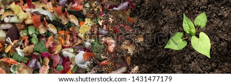 Compost and composted soil cycle as a composting pile of rotting kitchen scraps with fruits and vegetable garbage waste turning into organic fertilizer earth with a growing young plant as a composite. Stock foto © 