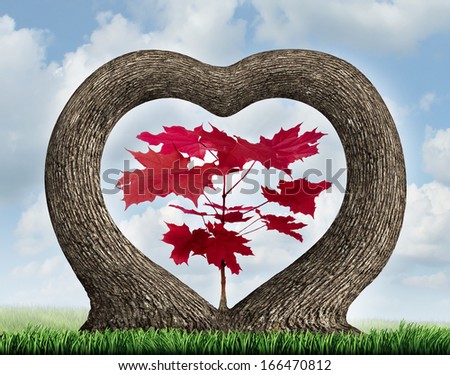 Heart tree as two growing plants merging together in romance giving birth to a red leaf maple as a love concept of beauty in nature and a metaphor for valentine  or loving nature and the environment.