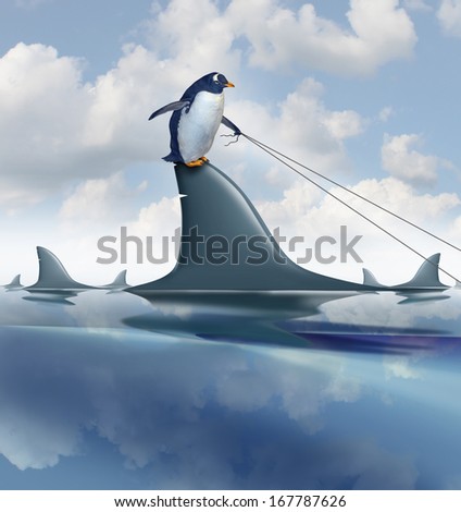 Fear Management and taking control of anxiety by overcoming and controlling your destiny as a brave penguin on a shark fin guiding the predator with a harness as a metaphor for leadership confidence.