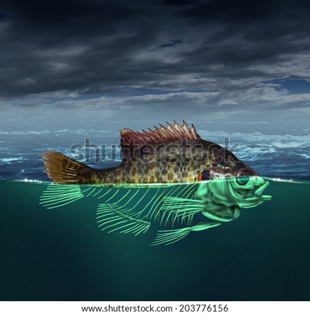 Water pollution and polluted ocean concept as a fish with half of the body underwater as a skeleton  for environmental and conservation concerns.
