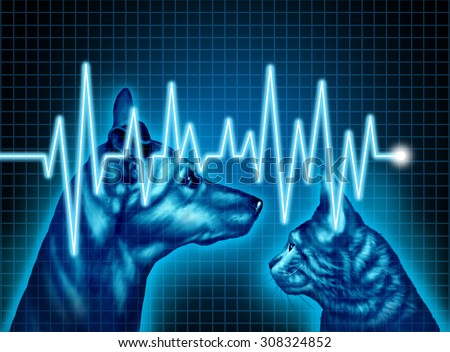 Pet health care and medical insurance for pets concept as an illustration of a dog and cat with an ecg or ekg monitor lifeline as a veterinary symbol and veterinarian doctor services.