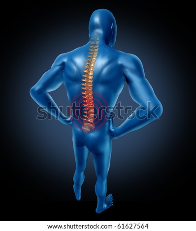 human back pain spine posture spine spine