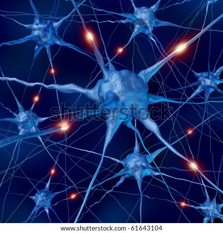 active neurons brain connections nervous system anatomy