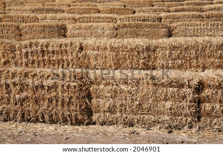 Straw bales lined up to make an intricate maze