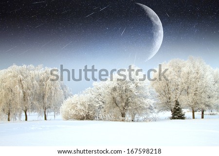 forest under a starry sky radiance.Elements of this image furnished by NASA