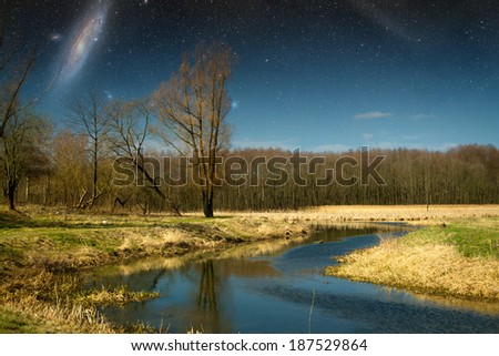 Spring in the parks and forests of Europe. Elements of this image furnished by NASA