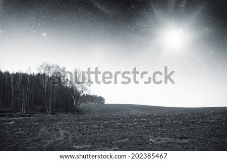 night field forest. Elements of this image furnished by NASA